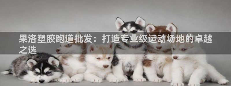 尊龙凯时干什么的：果洛塑胶跑道批发：打造专业级运动场地的卓越
之选