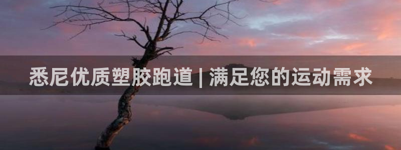 尊龙体育游戏平台：悉尼优质塑胶跑道 | 满足您的运动需求