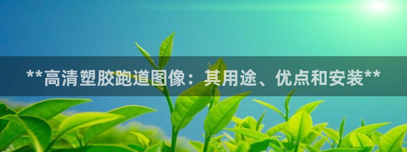 尊龙凯时赢不了：**高清塑胶跑道图像：其用途、优点和