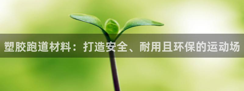 下载尊龙app：塑胶跑道材料：打造安全、耐用且环保的