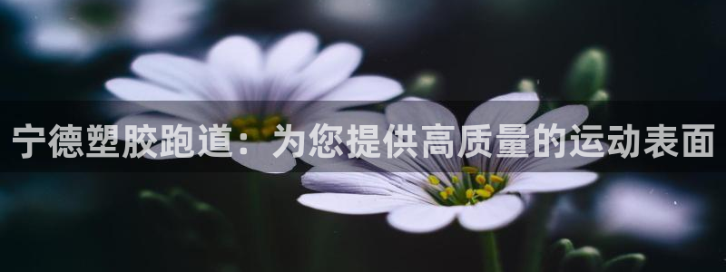 d88尊龙手机登录下载：宁德塑胶跑道：为您提供高质量