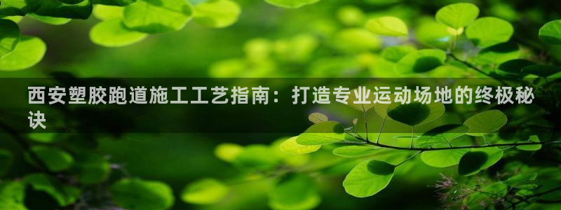 尊龙凯时官网首页：西安塑胶跑道施工工艺指南：打造专业运动场地的终极秘
诀