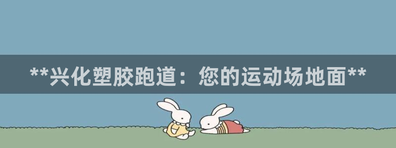 尊龙人生就是博AG旗舰厅：**兴化塑胶跑道：您的运动场地面**