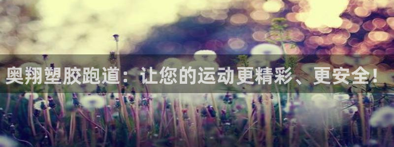尊龙服饰品牌介绍：奥翔塑胶跑道：让您的运动更精彩、更安全！