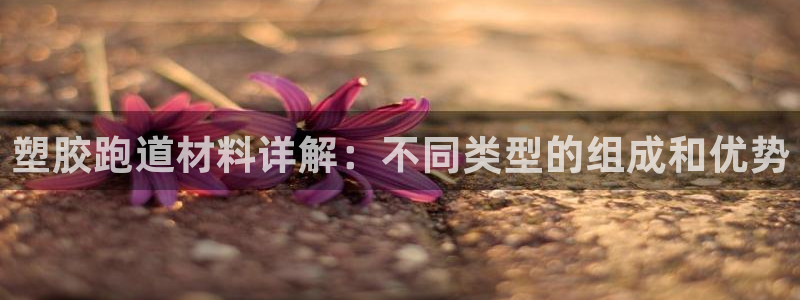尊龙网址登录官网：塑胶跑道材料详解：不同类型的组成和