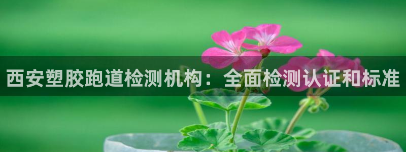 尊龙实业：西安塑胶跑道检测机构：全面检测认证和标准