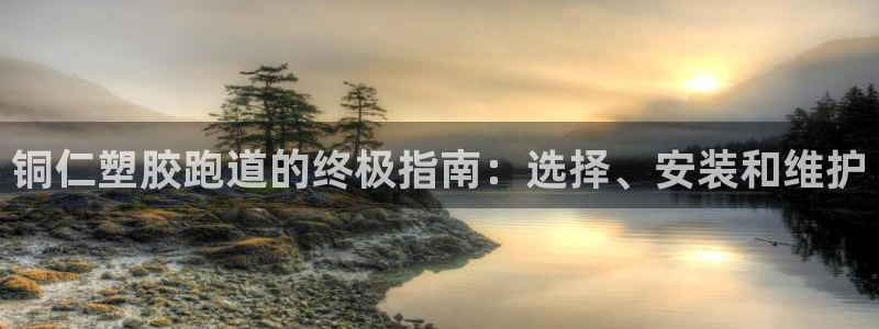 尊龙d88官网登录：铜仁塑胶跑道的终极指南：选择、安装和维护