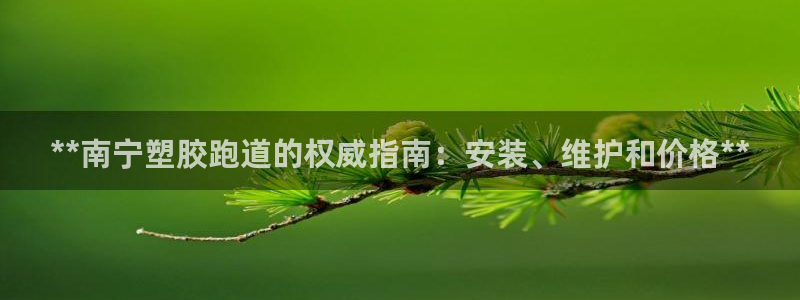 尊龙人生就是一博!：**南宁塑胶跑道的权威指南：安装、维护和价格**