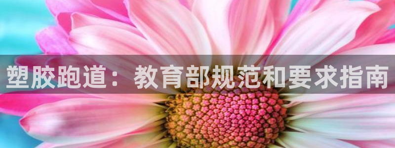 尊龙ag旗舰：塑胶跑道：教育部规范和要求指南