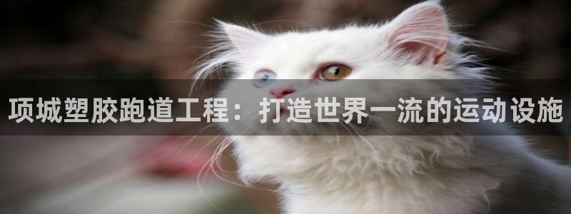 尊龙d88用现推选ag发财网：项城塑胶跑道工程：打造世界一流的运动设施