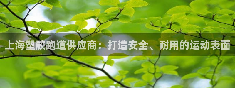 尊龙app注册官网：上海塑胶跑道供应商：打造安全、耐用的运动表面