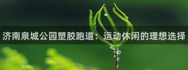 尊龙集团有限公司官网地址：济南泉城公园塑胶跑道：运动休闲的理想选择