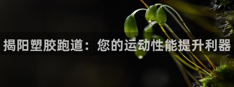 尊龙凯时app产品介绍：揭阳塑胶跑道：您的运动性能提升利器