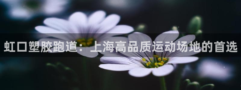 尊龙凯时注册：虹口塑胶跑道：上海高品质运动场地的首选
