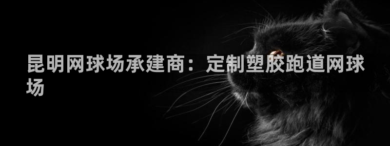 尊龙凯时取款一直支付中：昆明网球场承建商：定制塑胶跑