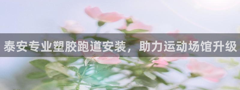 尊龙z6官网ag：泰安专业塑胶跑道安装，助力运动场馆升级