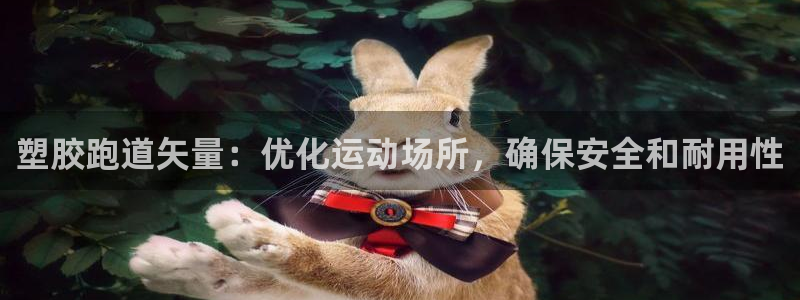 尊龙体育怎么样：塑胶跑道矢量：优化运动场所，确保安全