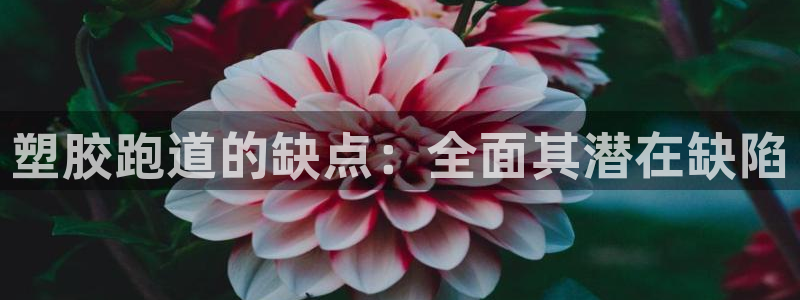 Ag尊龙平台：塑胶跑道的缺点：全面其潜在缺陷