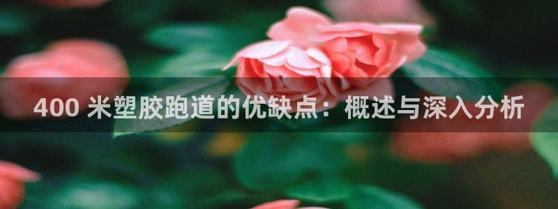 尊龙凯时下载官方正版：400 米塑胶跑道的优缺点：概述与深入分析