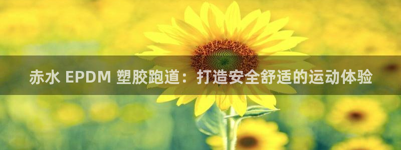 尊龙游戏官网：赤水 EPDM 塑胶跑道：打造安全舒适的运动体验