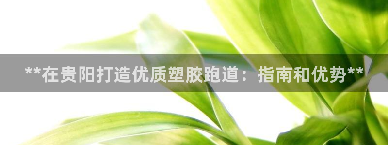 尊龙凯时网站怎么样：**在贵阳打造优质塑胶跑道：指南和优势**