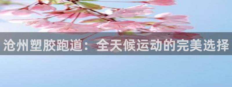 有人在凯时赢过钱吗：沧州塑胶跑道：全天候运动的完美选择
