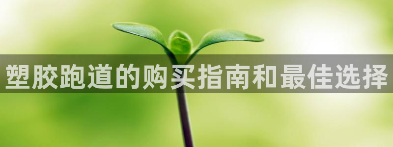 尊龙凯时d3563：塑胶跑道的购买指南和最佳选择