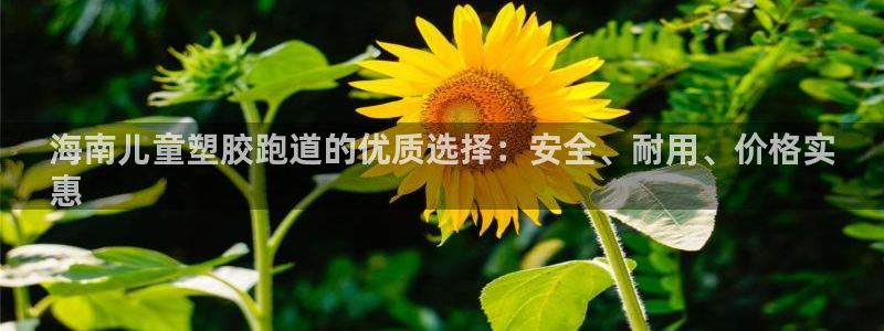 尊龙凯时赞助：海南儿童塑胶跑道的优质选择：安全、耐用