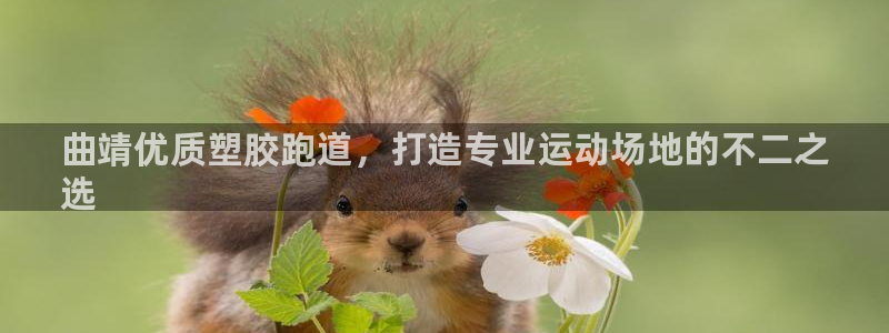 尊龙最经典的三个角色：曲靖优质塑胶跑道，打造专业运动