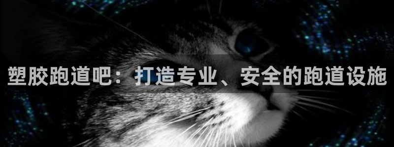 尊龙凯时平台信誉怎样：塑胶跑道吧：打造专业、安全的跑道设施