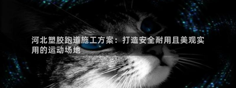 尊龙凯时登陆入口：河北塑胶跑道施工方案：打造安全耐用