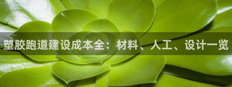尊龙d88平台登录：塑胶跑道建设成本全：材料、人工、设计一览