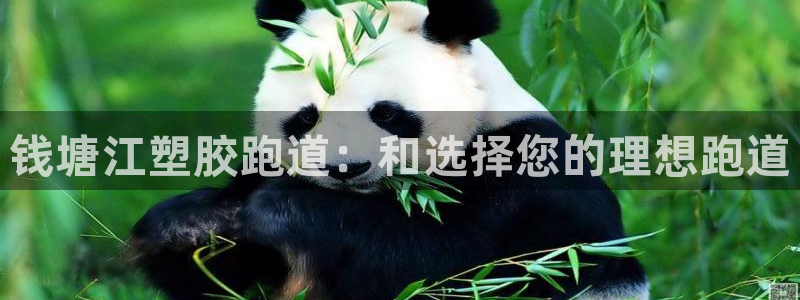 尊龙现金推荐ag发财网：钱塘江塑胶跑道：和选择您的理