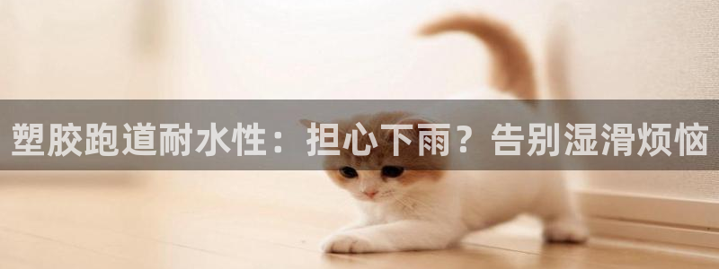 尊龙凯时登入首页：塑胶跑道耐水性：担心下雨？告别湿滑