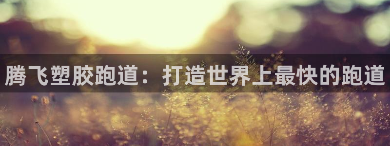 尊龙凯时网站是什么地方人开的：腾飞塑胶跑道：打造世界上最快的跑道