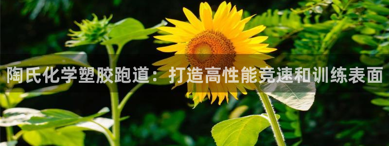尊龙实业有限公司：陶氏化学塑胶跑道：打造高性能竞速和