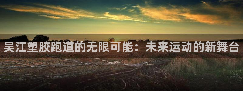 尊龙集团有限公司是国企吗