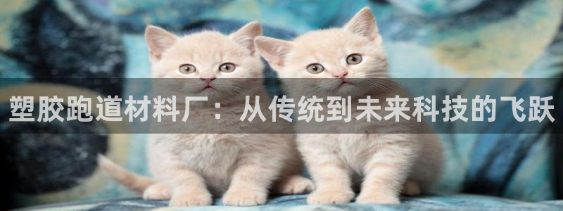 尊龙凯时网站首页手机登录