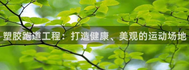 z6尊龙凯时官方
