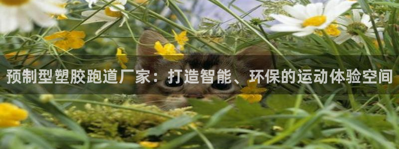 ag尊龙凯时俱乐部