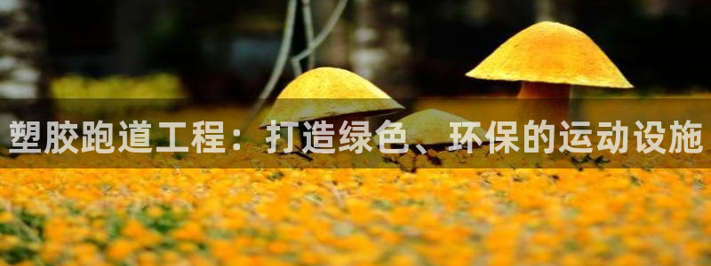 尊龙d88官网确来就送38