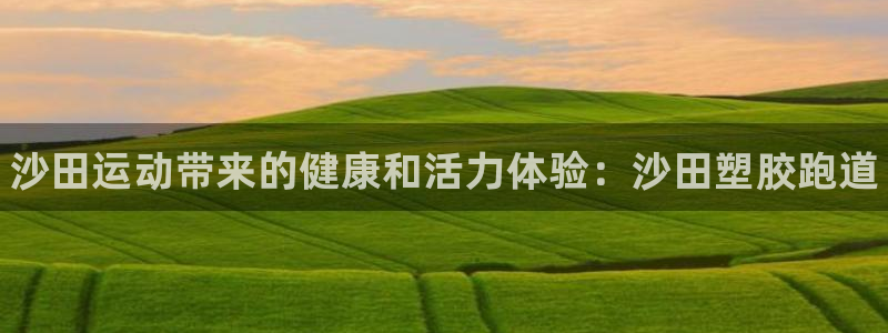 尊龙—人生就是博：沙田运动带来的健康和活力体验：沙田塑胶跑道