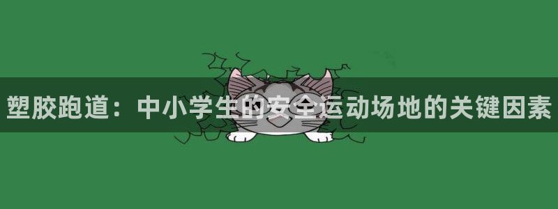 尊龙官方平台：塑胶跑道：中小学生的安全运动场地的关键因素