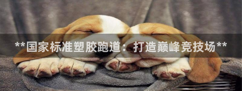 尊龙人生就是博登录准认来就送38：**国家标准塑胶跑道：打造巅峰竞技场**