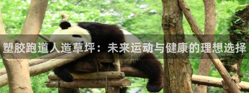 尊龙凯时旗舰厅百家乐下载