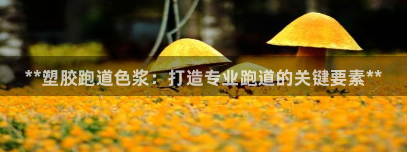 尊龙凯时z6官网：**塑胶跑道色浆：打造专业跑道的关