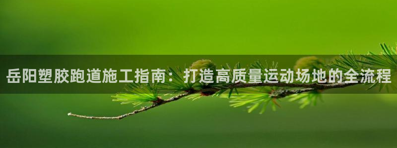 香港尊龙：岳阳塑胶跑道施工指南：打造高质量运动场地的全流程