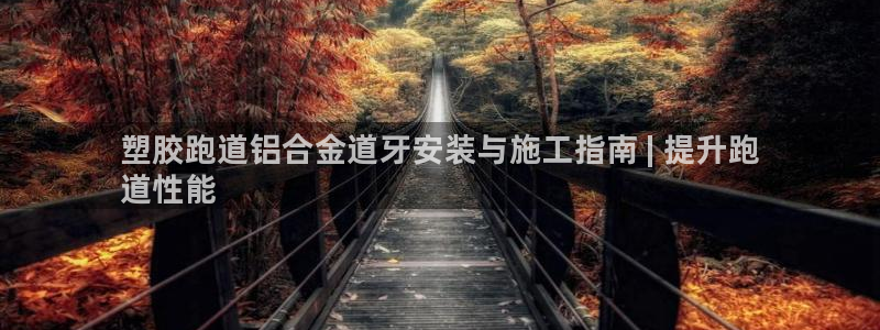 凯时kb88官网网址：塑胶跑道铝合金道牙安装与施工指南 | 提升跑
道性能