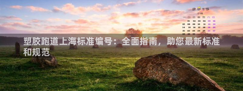 尊龙l1500：塑胶跑道上海标准编号：全面指南，助您最新标准