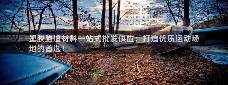 z6尊龙官网平台下载：塑胶跑道材料一站式批发供应：打